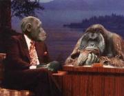 funny interview stories.jpg funny interview stories.jpg